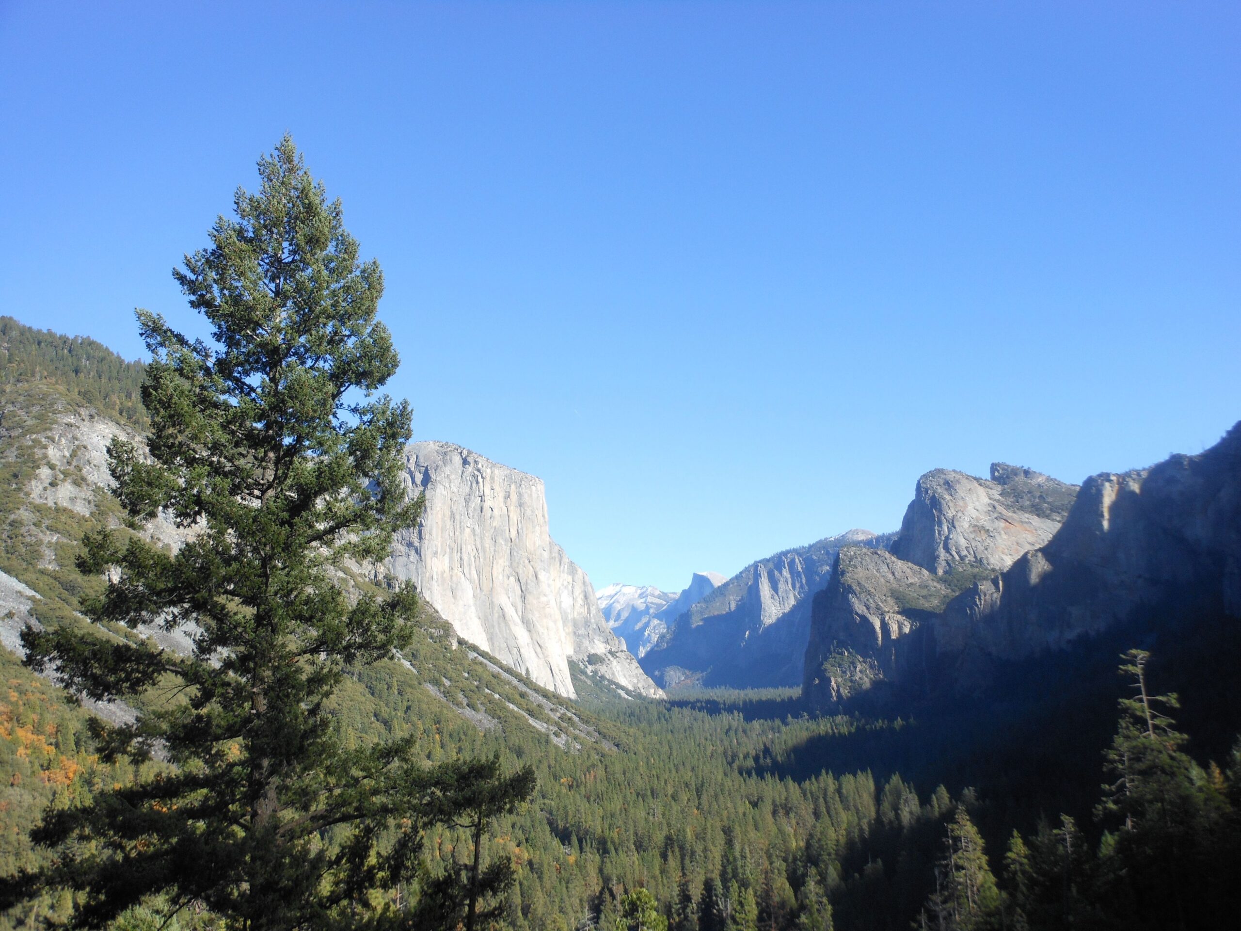 Life Detox Mantra – Yosemite
