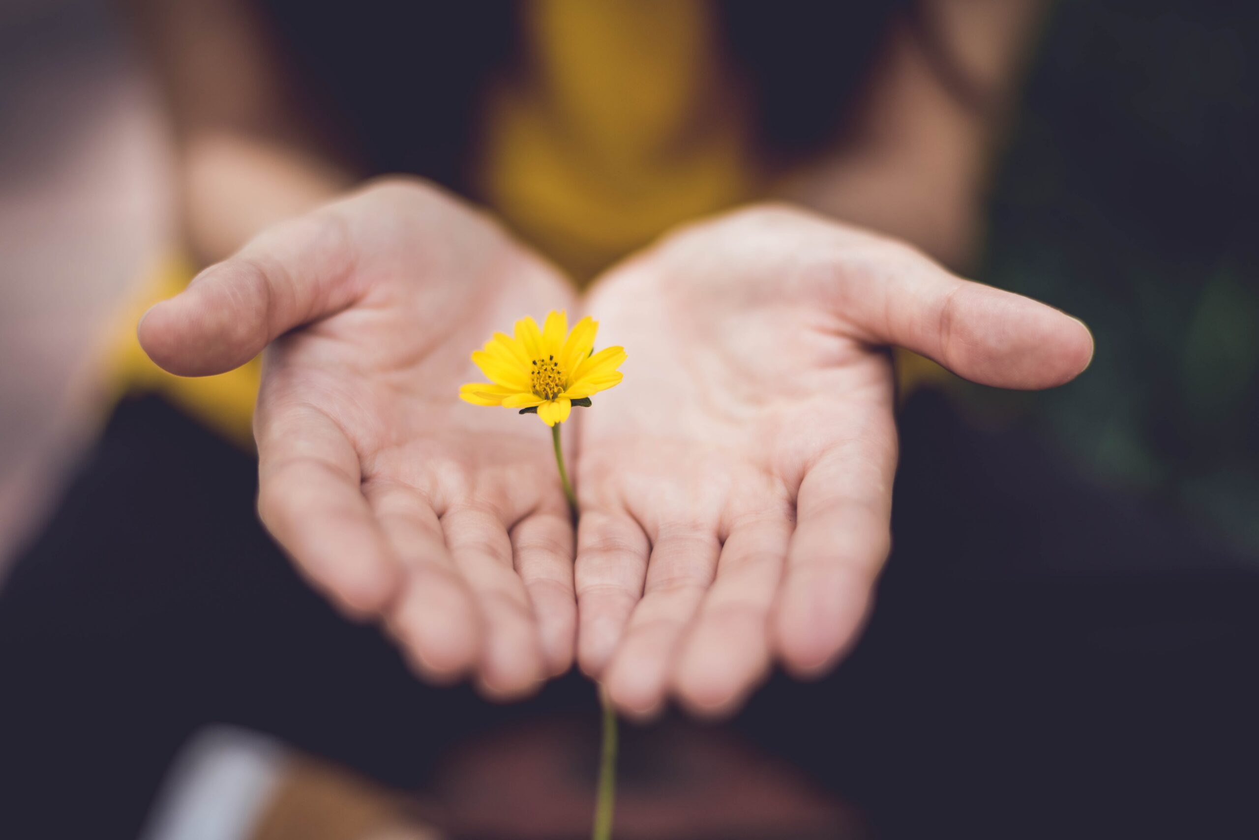 Live To Give!