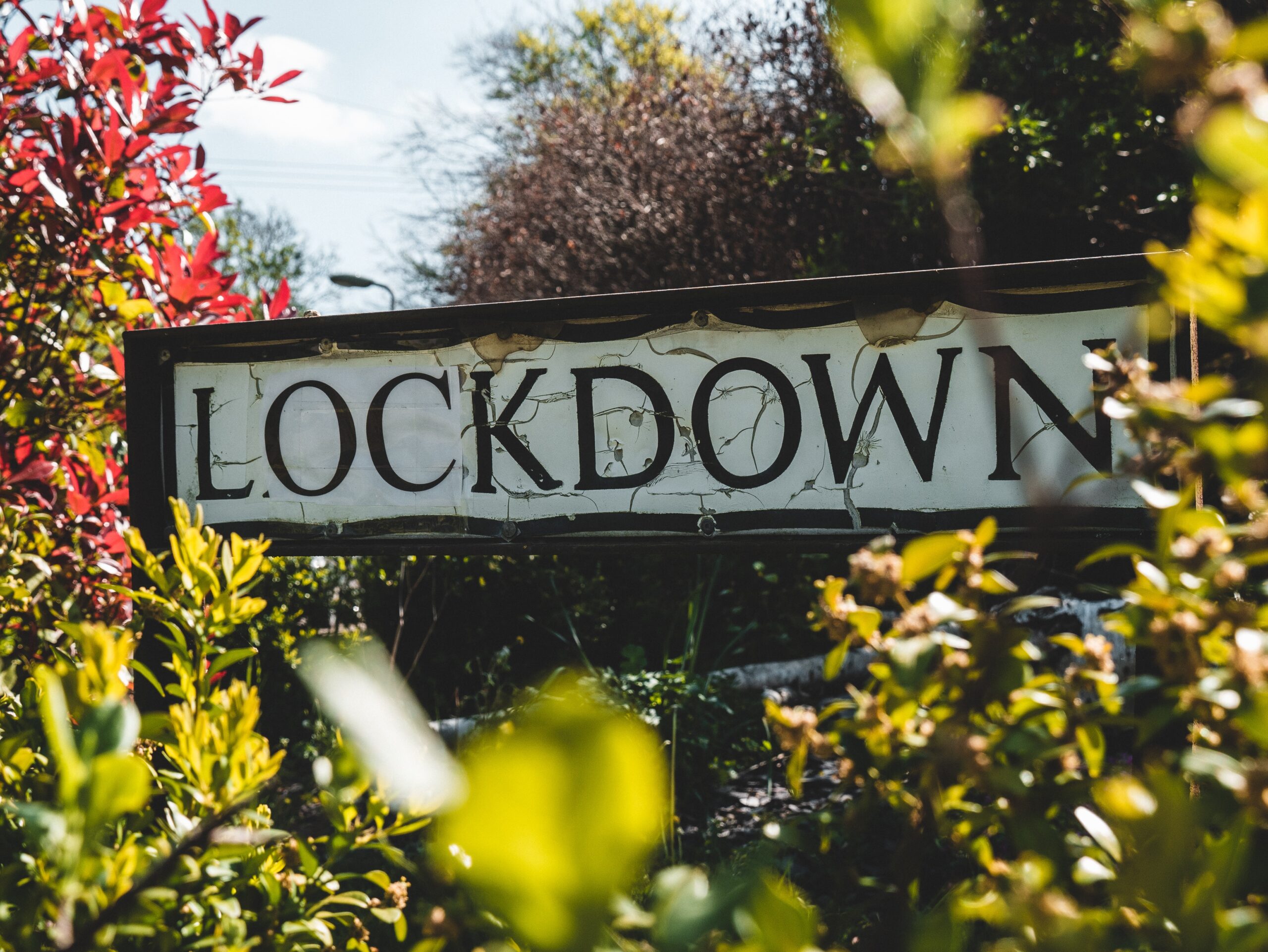 Lockdown Life: What Lies Ahead!