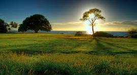 Test blog