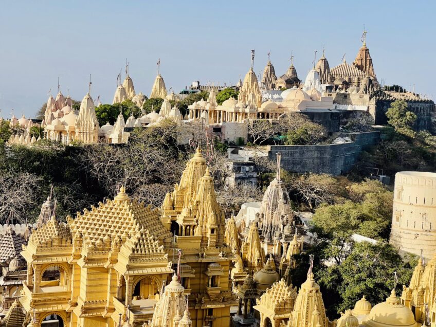 Palitana Diaries: 3,500 Steps. Four Friends. One Journey Within.